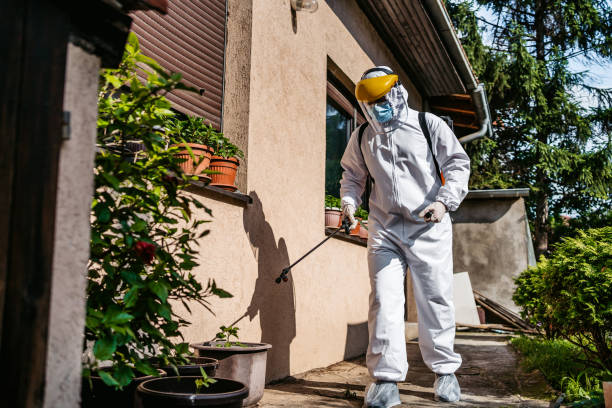 Best Pest Removal Services  in Johns Creek, GA