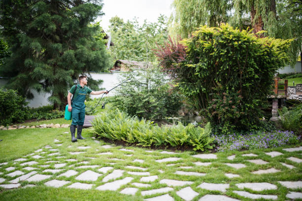 Best Residential Pest Control  in Johns Creek, GA