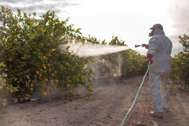 Best Insect Control  in Johns Creek, GA