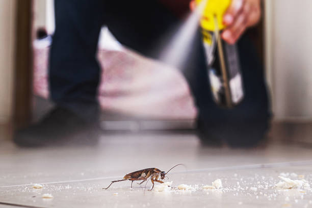 Best Wasp Removal Services  in Johns Creek, GA