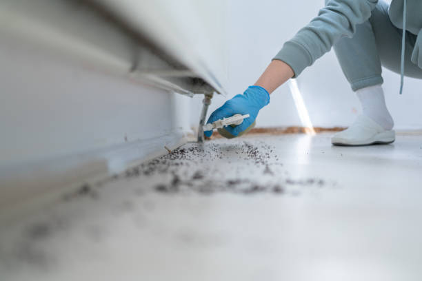 Best Emergency Pest Control  in Johns Creek, GA