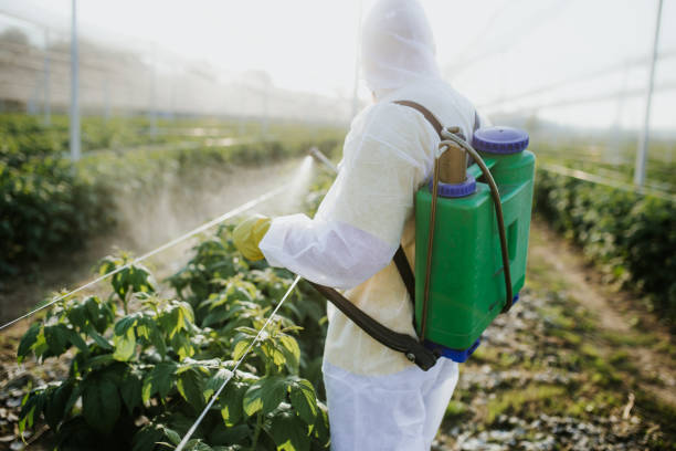 Trusted Johns Creek, GA Pest Control Experts